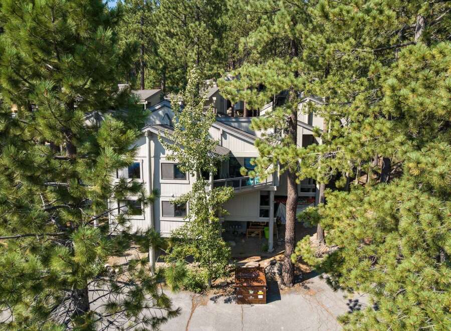 Nestled amidst towering pine trees, this multi-level home offers a serene retreat with ample natural light and stunning forest views.