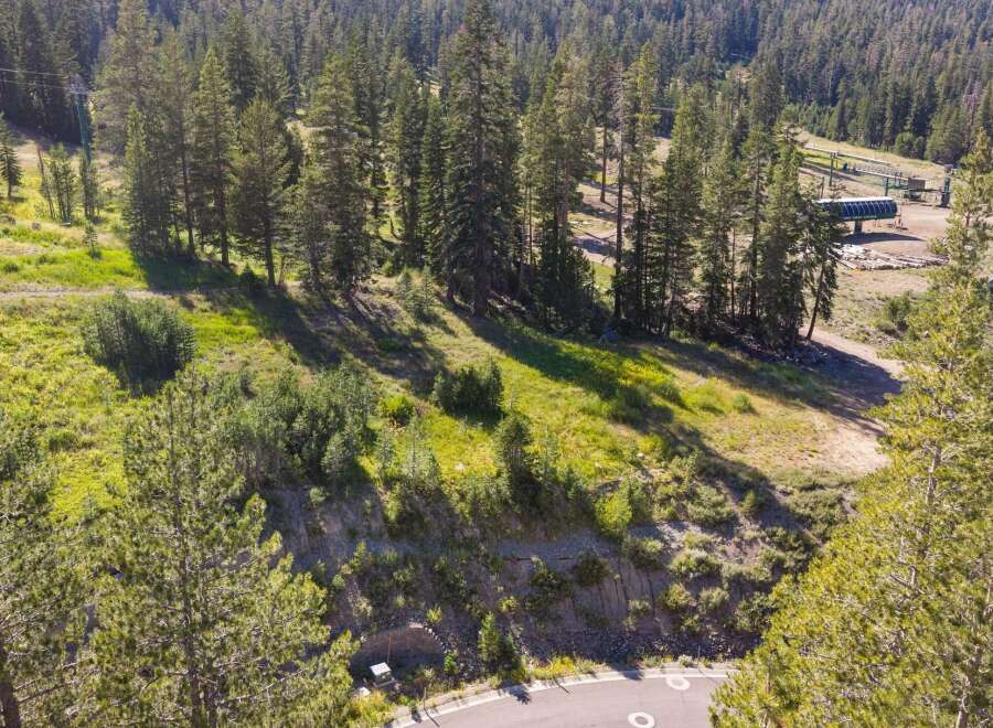 Discover this stunning property nestled amidst a lush pine forest, offering breathtaking natural beauty and serene mountain views.