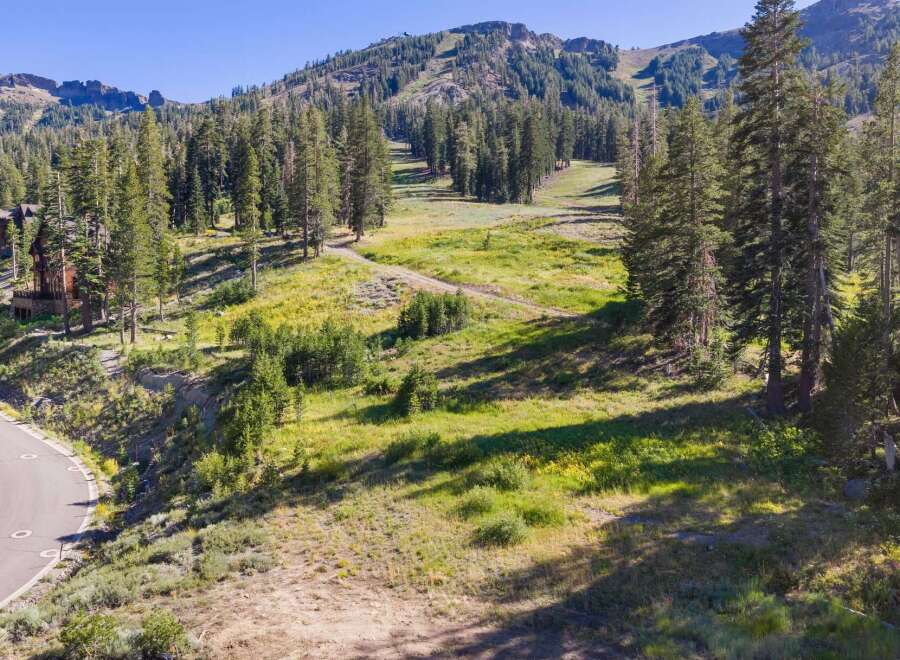 Nestled amidst towering pines and lush green meadows, this property offers a serene mountain escape.