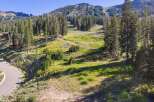 Nestled amidst towering pines and lush green meadows, this property offers a serene mountain escape.