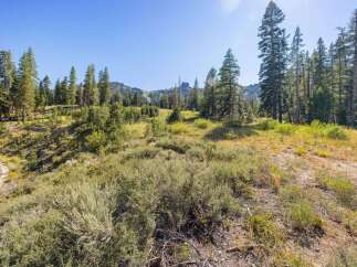 Discover this stunning property nestled amidst a serene forest landscape, offering breathtaking mountain views and a sense of secluded tranquility.