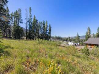 Discover this picturesque property nestled amidst tall pine trees and lush green meadows, offering a serene and private setting.