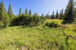Discover this stunning property nestled amidst a serene meadow and lush pine forest.