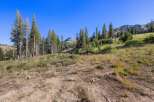 Discover this stunning property nestled amidst towering pine trees and rolling hills, offering breathtaking mountain views.