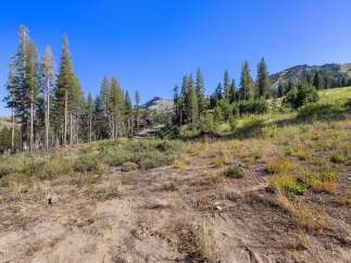 Discover this stunning property nestled amidst towering pine trees and rolling hills, offering breathtaking mountain views.