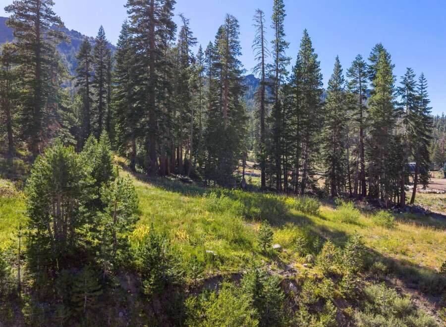 Discover this stunning property nestled amidst a lush pine forest, offering breathtaking mountain views and a serene natural setting.