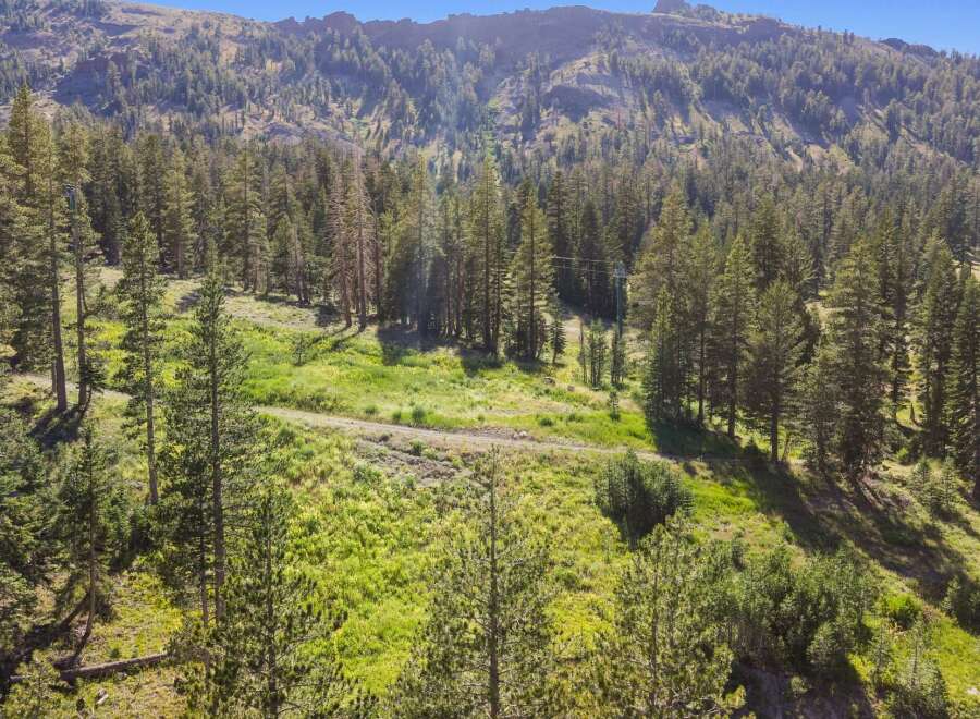 Discover this stunning property nestled amidst a lush forest with breathtaking mountain views.