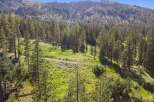 Discover this stunning property nestled amidst a lush forest with breathtaking mountain views.