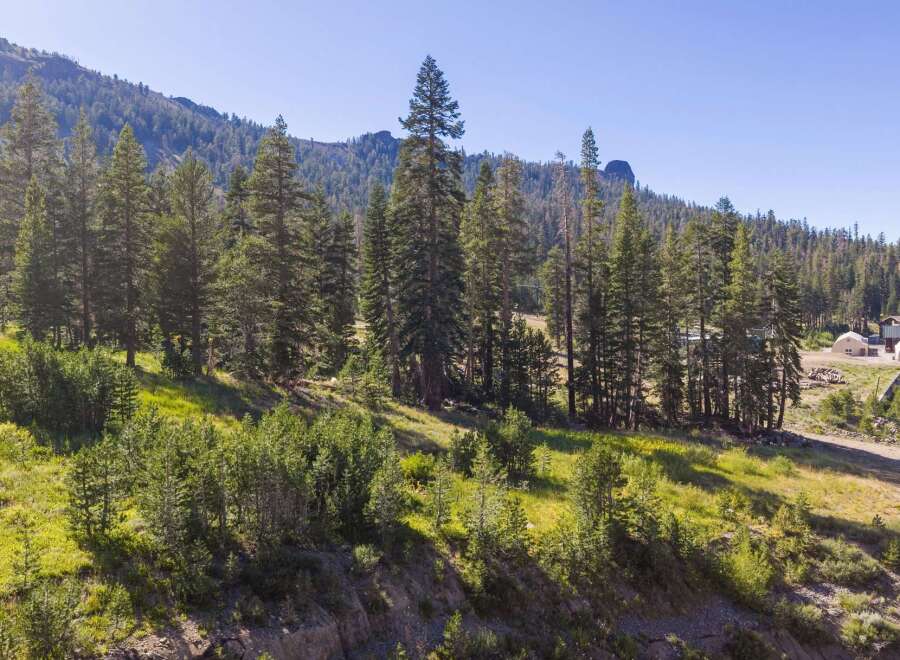 Discover this stunning property nestled amidst a lush pine forest, offering breathtaking mountain views and a serene natural setting.