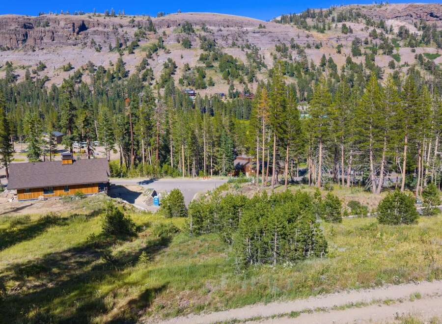 Nestled amidst towering pine trees and a majestic mountain backdrop, this property offers a serene escape.