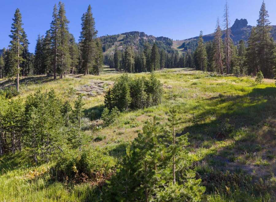 Discover this stunning mountain property with breathtaking views of rolling hills and majestic pine trees.