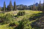 Discover this stunning mountain property with breathtaking views of rolling hills and majestic pine trees.