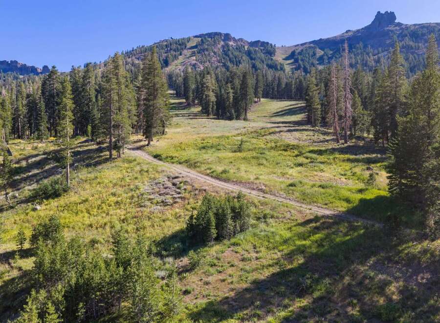 Discover this stunning mountain property featuring a picturesque meadow surrounded by lush pine trees and a winding dirt road.