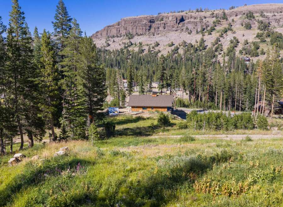 Nestled amidst towering pine trees and a majestic mountain backdrop, this charming wooden cabin offers a serene mountain retreat.