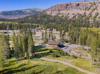 Nestled amidst a serene pine forest and towering mountains, this property offers a unique blend of natural beauty and potential.