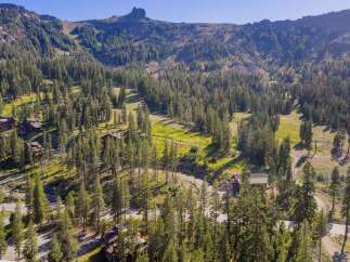 Nestled amidst a lush pine forest, this stunning mountain property offers breathtaking views and a serene escape.