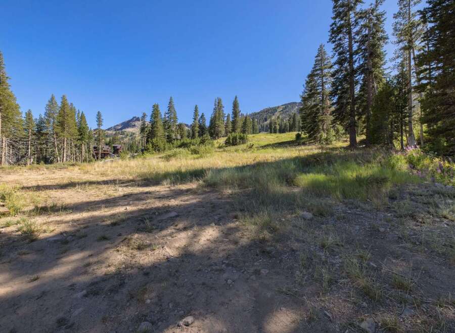 Discover this stunning mountain property with breathtaking views and abundant natural beauty.