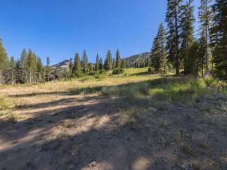 Discover this stunning mountain property with breathtaking views and abundant natural beauty.