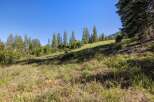 Discover this serene mountain property, perfect for those seeking tranquility and natural beauty.