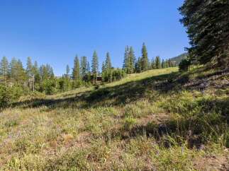 Discover this serene mountain property, perfect for those seeking tranquility and natural beauty.