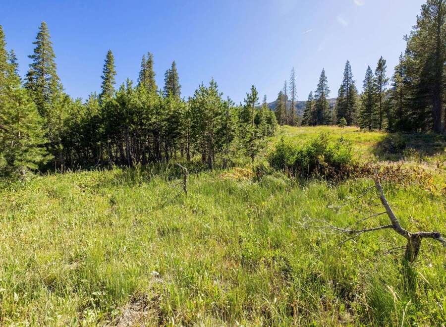 Discover this stunning property nestled amidst a serene meadow and lush pine forest.