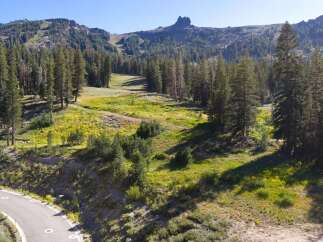 Discover your dream mountain retreat with this stunning property offering breathtaking views and a serene natural setting.