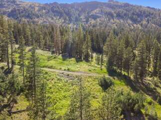 Discover this stunning property nestled amidst a lush forest with breathtaking mountain views.