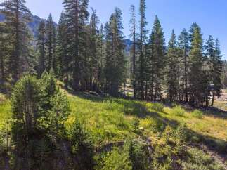Discover this stunning property nestled amidst a lush pine forest, offering breathtaking mountain views and a serene natural setting.