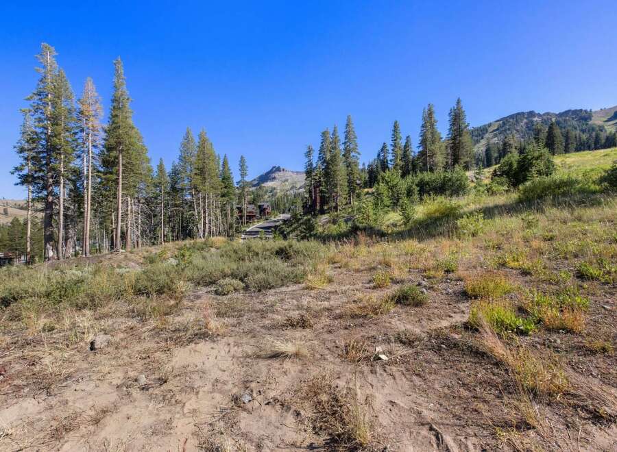 Discover this stunning property nestled amidst towering pine trees and rolling hills, offering breathtaking mountain views.