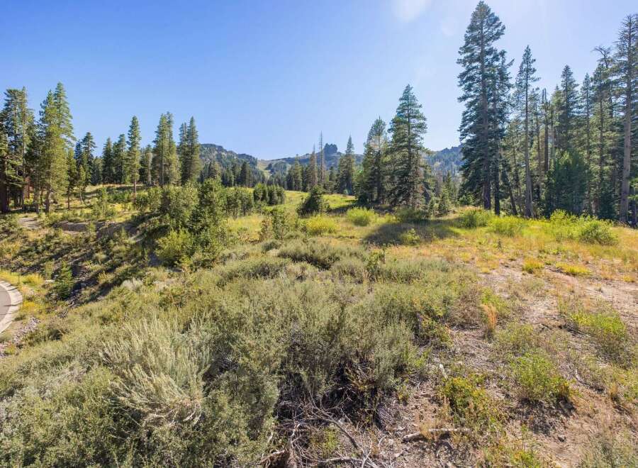 Discover this stunning property nestled amidst a serene forest landscape, offering breathtaking mountain views and a sense of secluded tranquility.
