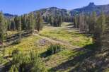 Discover this stunning mountain property featuring a picturesque meadow surrounded by lush pine trees and a winding dirt road.