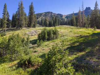 Discover this stunning mountain property with breathtaking views of rolling hills and majestic pine trees.