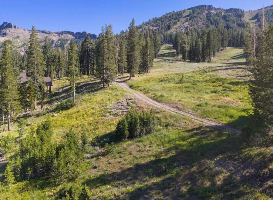 Nestled amidst towering pine trees and rolling meadows, this property offers a serene mountain escape.