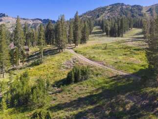 Nestled amidst towering pine trees and rolling meadows, this property offers a serene mountain escape.