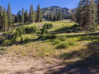 Discover this stunning mountain property, perfect for those seeking a serene escape.