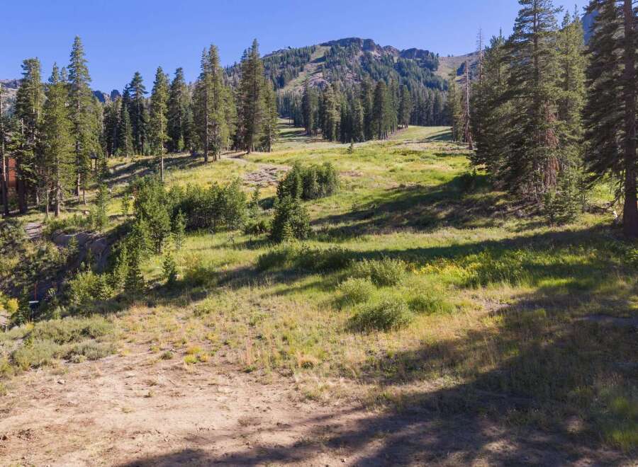 Nestled amidst towering pine trees and a lush meadow, this property offers a serene mountain escape.