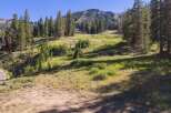 Nestled amidst towering pine trees and a lush meadow, this property offers a serene mountain escape.