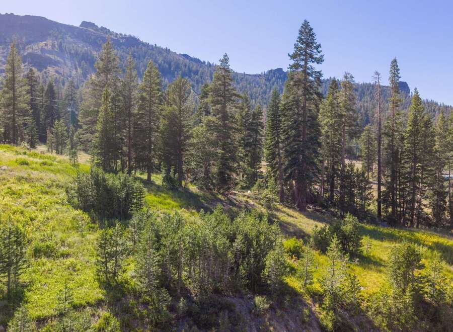 Discover breathtaking mountain views and lush greenery from this stunning property.