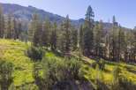 Discover breathtaking mountain views and lush greenery from this stunning property.