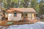 Charming cabin nestled among tall pine trees, offering a cozy retreat.