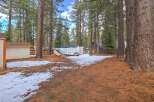 Discover this charming property nestled among mature pine trees, offering a serene and private backyard setting.