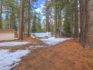 Discover this charming property nestled among mature pine trees, offering a serene and private backyard setting.