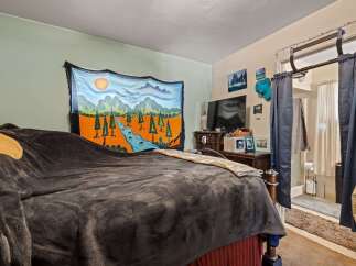 This cozy bedroom features a comfortable bed adorned with plush blankets and a vibrant tapestry depicting a serene river landscape.