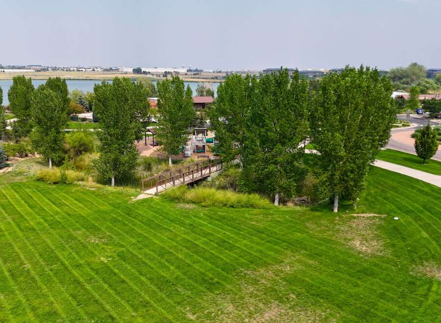 Discover a serene park setting with a charming wooden bridge crossing a gentle stream, perfect for leisurely strolls.