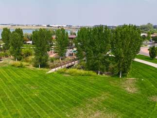 Discover a serene park setting with a charming wooden bridge crossing a gentle stream, perfect for leisurely strolls.