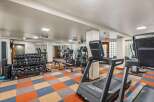 Elevate your fitness routine in this well-equipped gym, featuring a variety of cardio machines like treadmills and ellipticals, alongside a comprehensive set of free weights and benches.