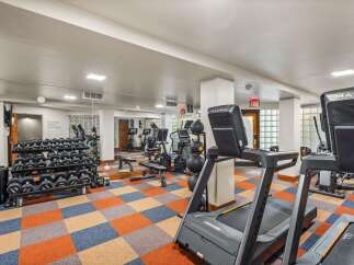 Elevate your fitness routine in this well-equipped gym, featuring a variety of cardio machines like treadmills and ellipticals, alongside a comprehensive set of free weights and benches.