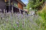 Experience the charm of this property with its beautiful lavender garden, creating a serene and inviting atmosphere.