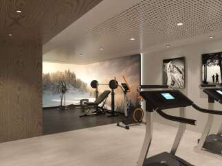 Elevate your wellness routine in this state-of-the-art home gym, featuring a full weight set, bench, elliptical, and treadmills.