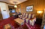 Experience cozy living in this charming apartment featuring a warm, wood-paneled living area with a comfortable plaid sofa and a rustic coffee table.